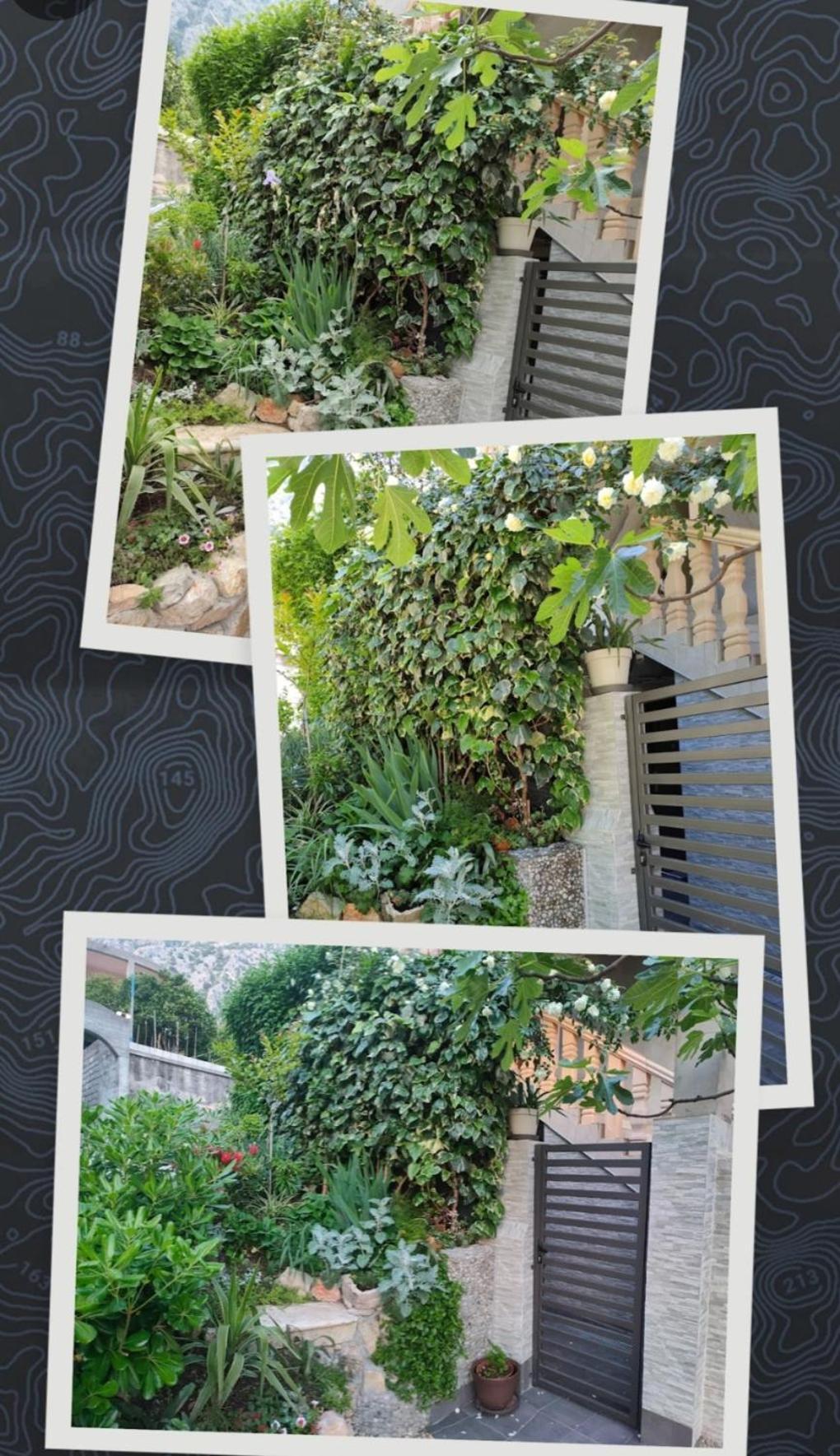 Studio Apartman Rea Kotor Exterior photo